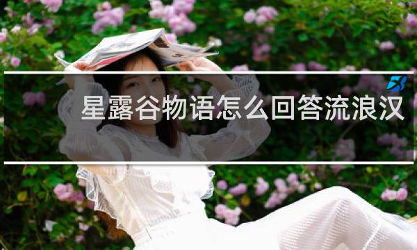 星露谷物语怎么回答流浪汉