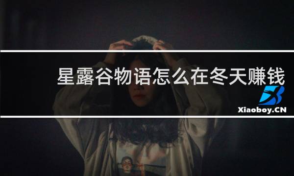 星露谷物语怎么在冬天赚钱
