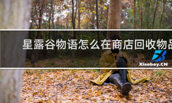 星露谷物语怎么在商店回收物品