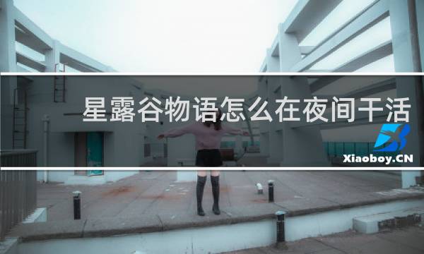 星露谷物语怎么在夜间干活
