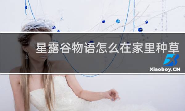 星露谷物语怎么在家里种草