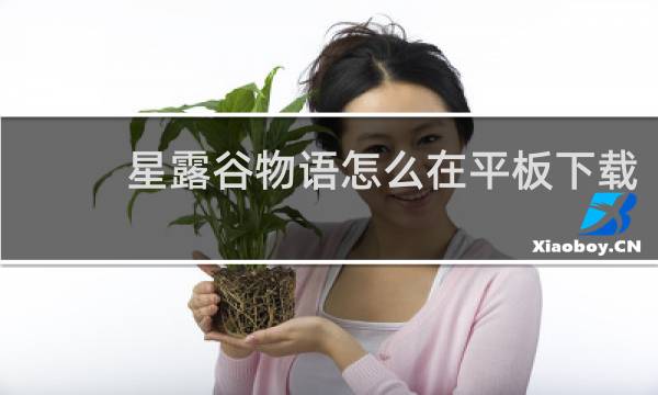 星露谷物语怎么在平板下载