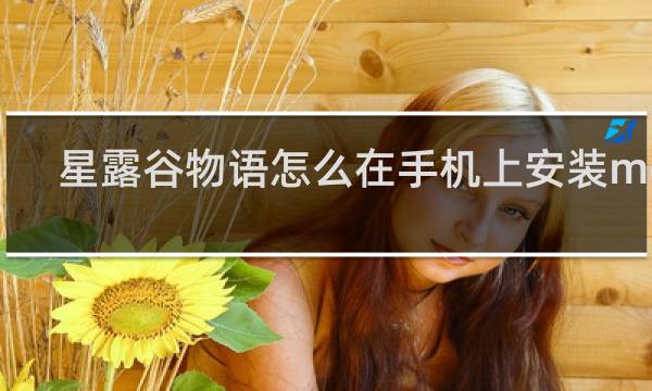 星露谷物语怎么在手机上安装mod