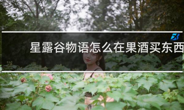 星露谷物语怎么在果酒买东西