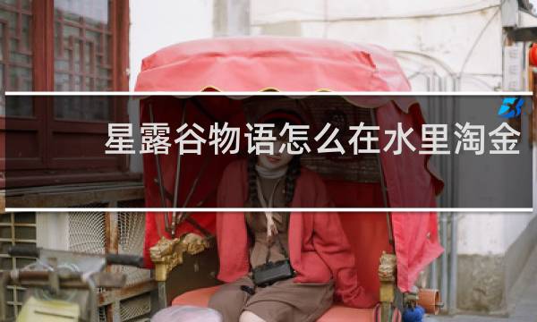 星露谷物语怎么在水里淘金