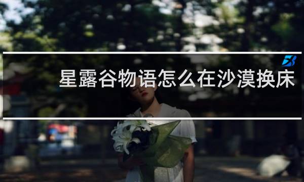 星露谷物语怎么在沙漠换床