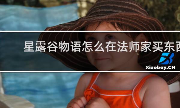 星露谷物语怎么在法师家买东西