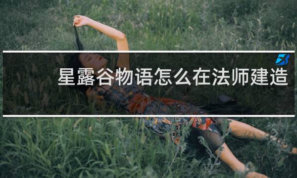 星露谷物语怎么在法师建造