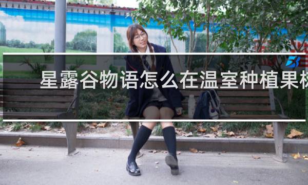 星露谷物语怎么在温室种植果树