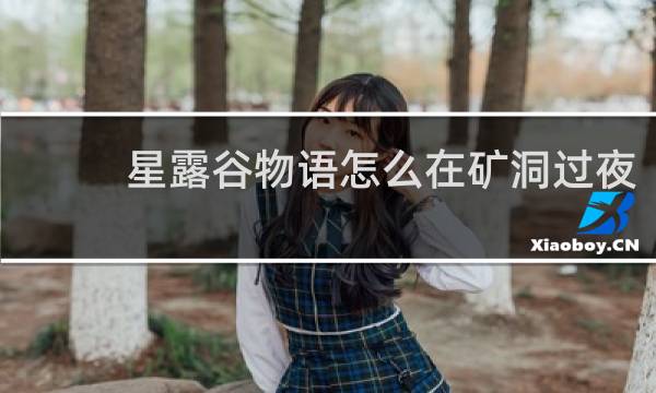 星露谷物语怎么在矿洞过夜