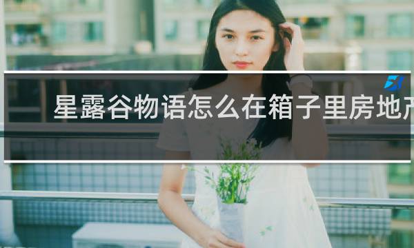 星露谷物语怎么在箱子里房地产