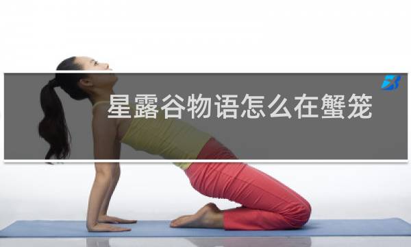 星露谷物语怎么在蟹笼