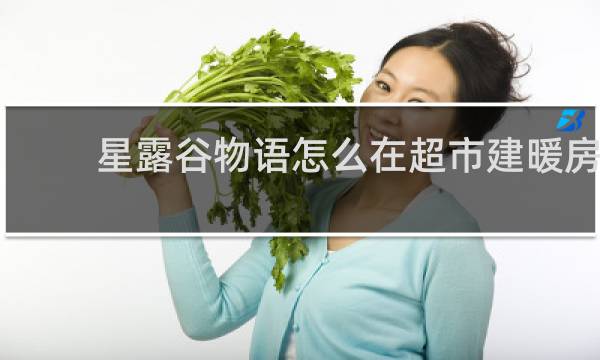 星露谷物语怎么在超市建暖房