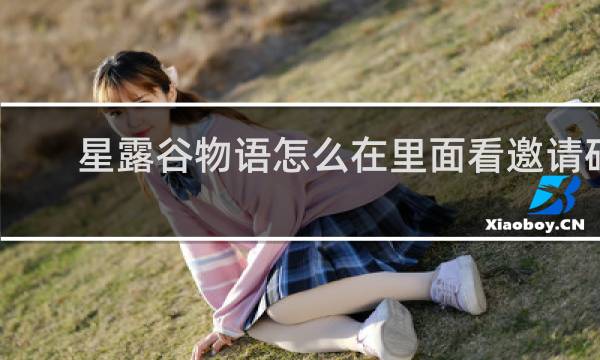 星露谷物语怎么在里面看邀请码