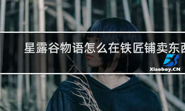 星露谷物语怎么在铁匠铺卖东西