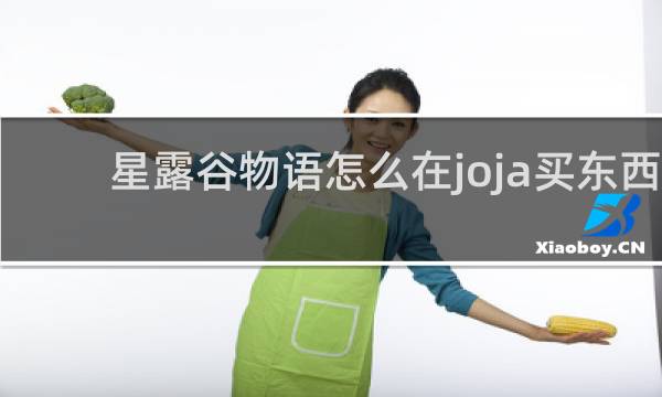 星露谷物语怎么在joja买东西