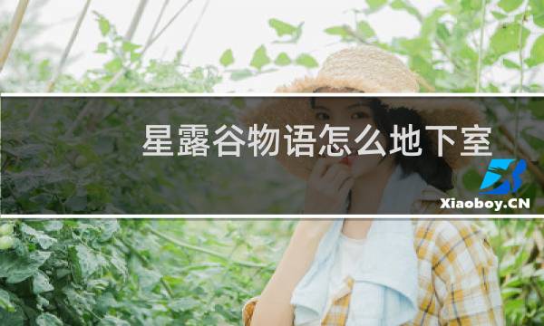 星露谷物语怎么地下室