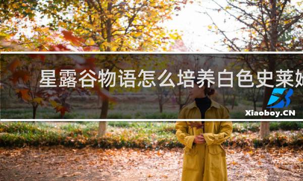 星露谷物语怎么培养白色史莱姆