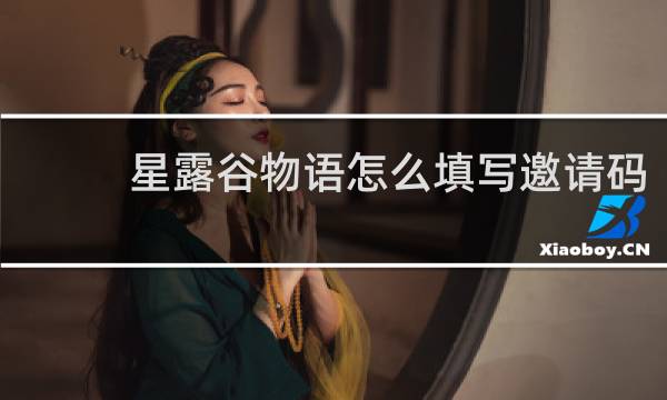 星露谷物语怎么填写邀请码