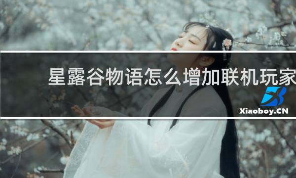 星露谷物语怎么增加联机玩家