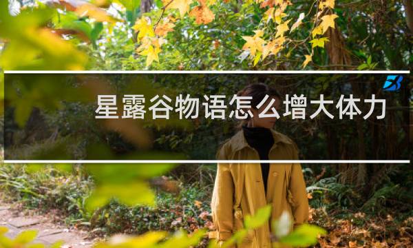 星露谷物语怎么增大体力