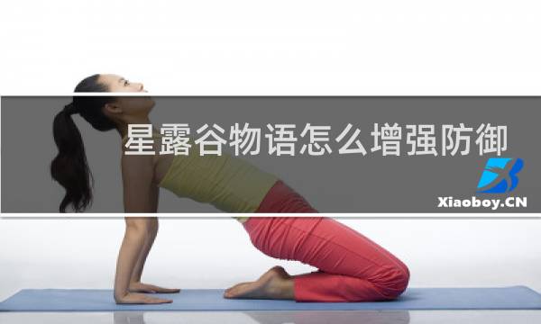 星露谷物语怎么增强防御