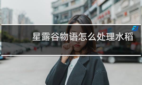 星露谷物语怎么处理水稻