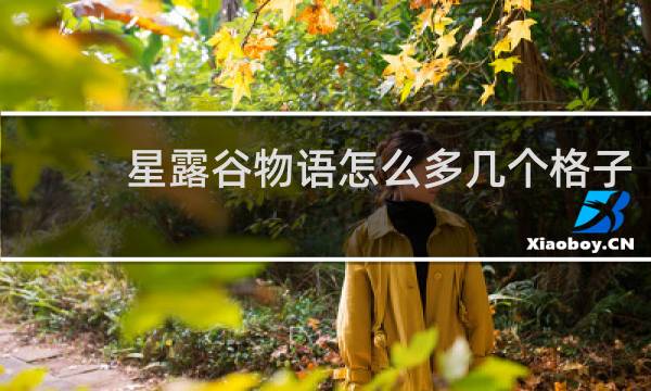 星露谷物语怎么多几个格子