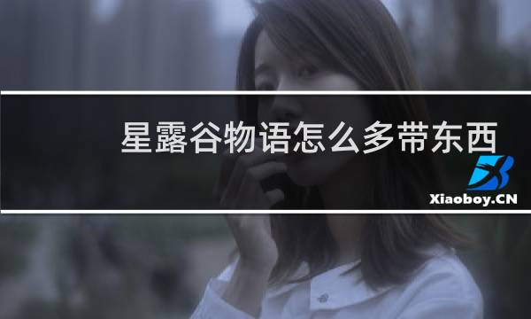 星露谷物语怎么多带东西