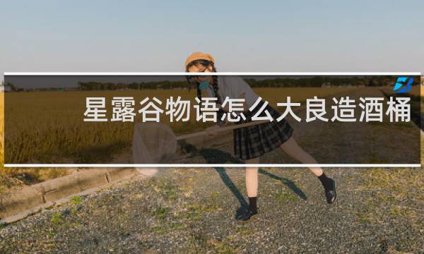 星露谷物语怎么大良造酒桶