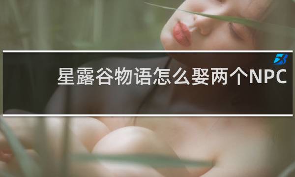 星露谷物语怎么娶两个NPC