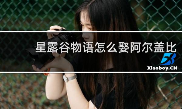 星露谷物语怎么娶阿尔盖比