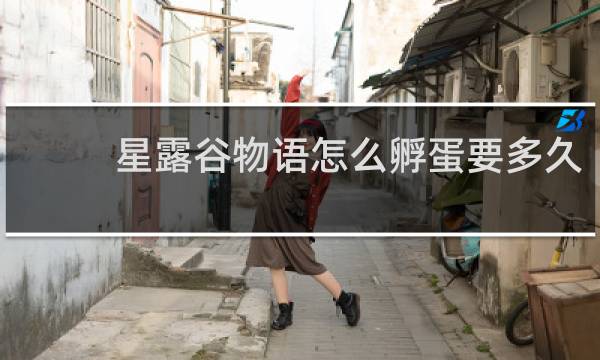 星露谷物语怎么孵蛋要多久