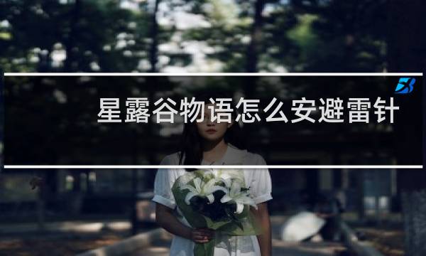 星露谷物语怎么安避雷针