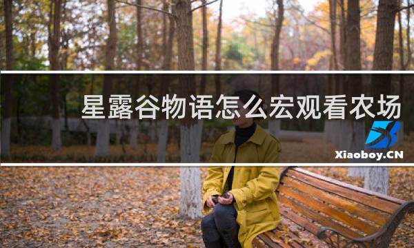 星露谷物语怎么宏观看农场