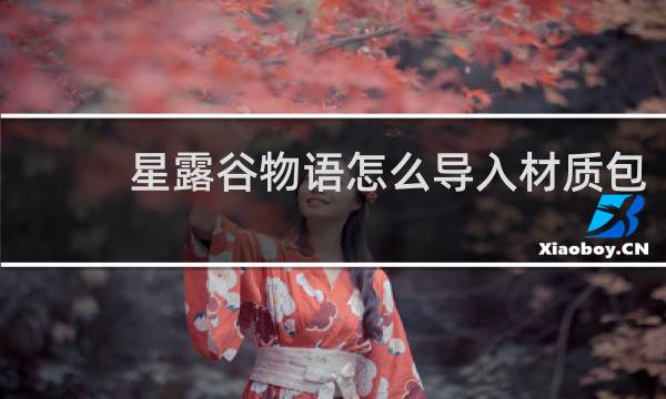 星露谷物语怎么导入材质包
