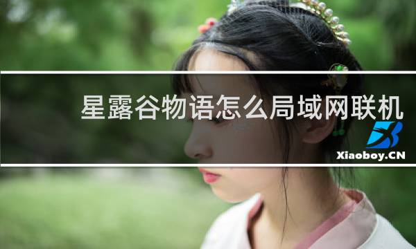 星露谷物语怎么局域网联机