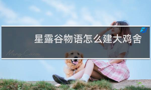 星露谷物语怎么建大鸡舍