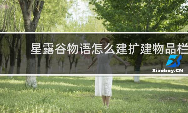 星露谷物语怎么建扩建物品栏