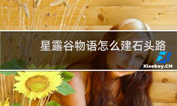 星露谷物语怎么建石头路