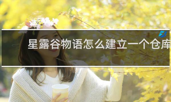 星露谷物语怎么建立一个仓库