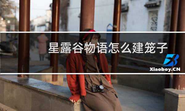 星露谷物语怎么建笼子