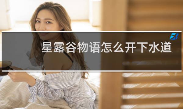 星露谷物语怎么开下水道