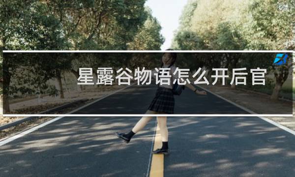 星露谷物语怎么开后官