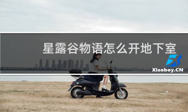 星露谷物语怎么开地下室