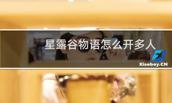 星露谷物语怎么开多人