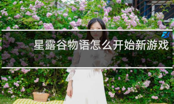 星露谷物语怎么开始新游戏