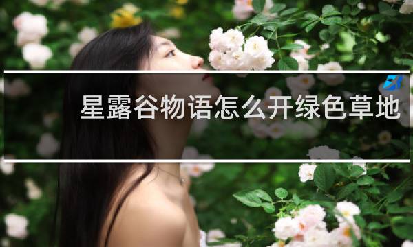 星露谷物语怎么开绿色草地