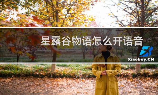 星露谷物语怎么开语音