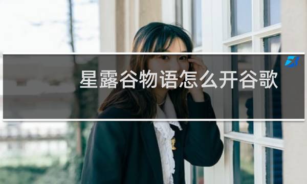 星露谷物语怎么开谷歌